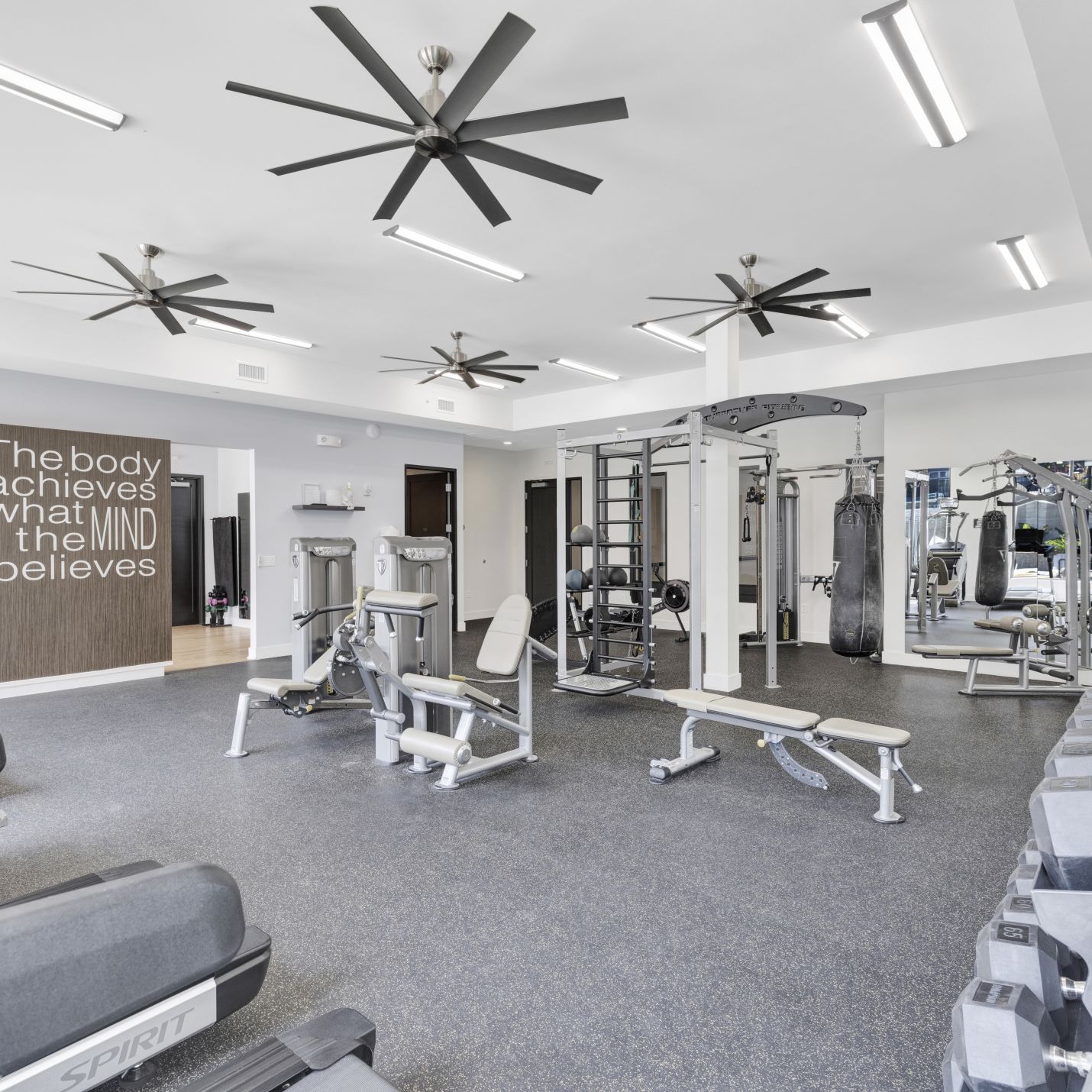 Domain City Center Gym with treadmill, exercise bike, and ceiling fan.
